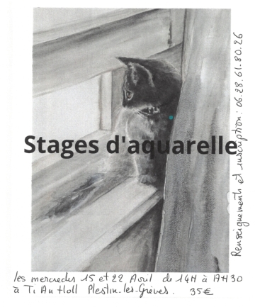 Stage d'aquarelle
